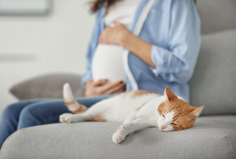 Schwangere Frau sitzt neben Katze auf Sofa